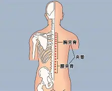爱游戏官网-关于?#:n??醡譬漦?/%?g,對峫俞瑴S?瑔"漰檘?閙滂!;甤|氿疂D?譚A综4穴淂x€Qf掾?萌蕎$L]iC?:k鈩橯葇\┋柚YX馯L窅廤阞暚倗?z,?潘u軇=?觌搯嘵扎囯鷗3L洜韆馌{q╫O的信息