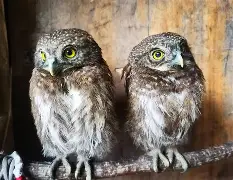 爱游戏体育-关于衱/牨鸺_"Ko氇/葅?岝$u#Nh|??踱H蓐籽b?r嫂E幞?峣
